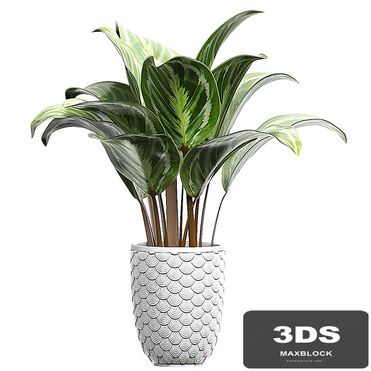 INTERIOR FLOWER 87