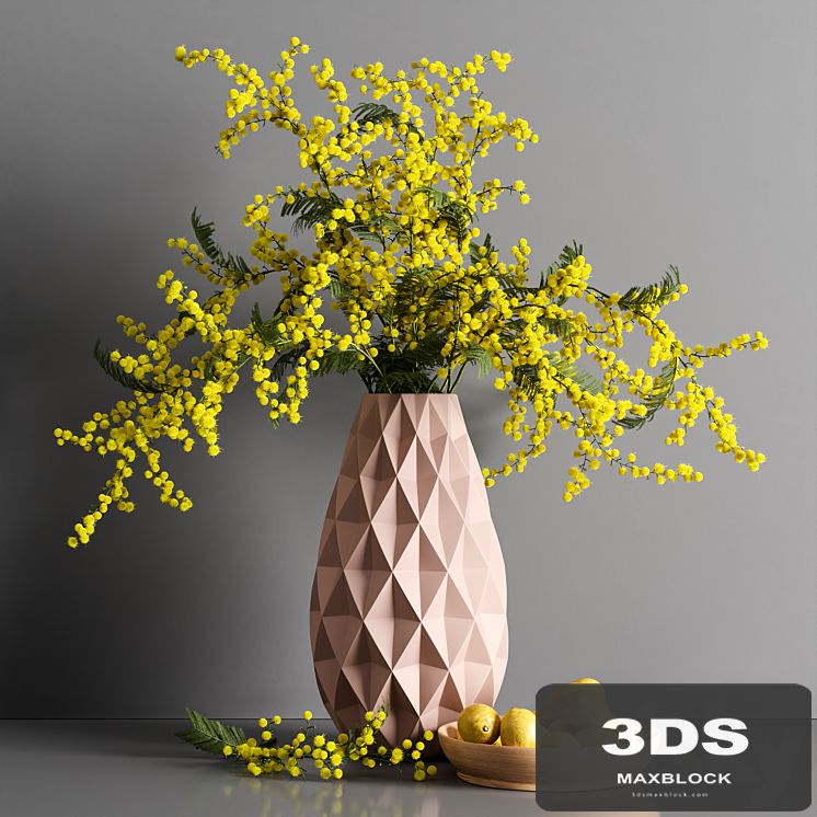 Decorative Mimosa Lemon