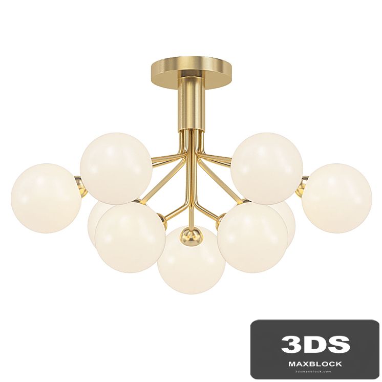 Apiales 9 Ceiling