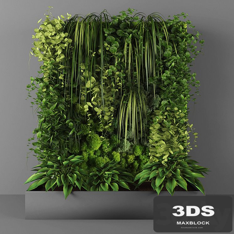 Vertical garden 096