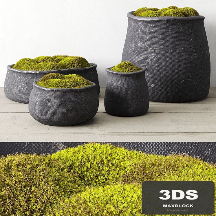 Crosshatch concrete vessel collection with moss