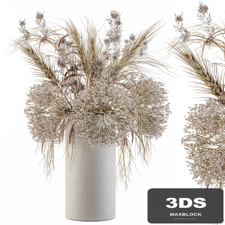 Dry Plants Set 08