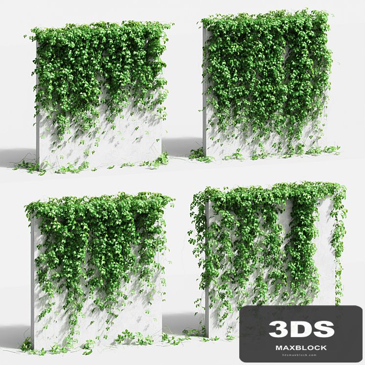 Wall with grape leaves. 4 models