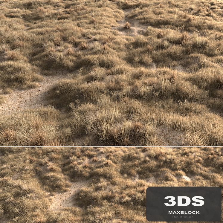 Dried grass