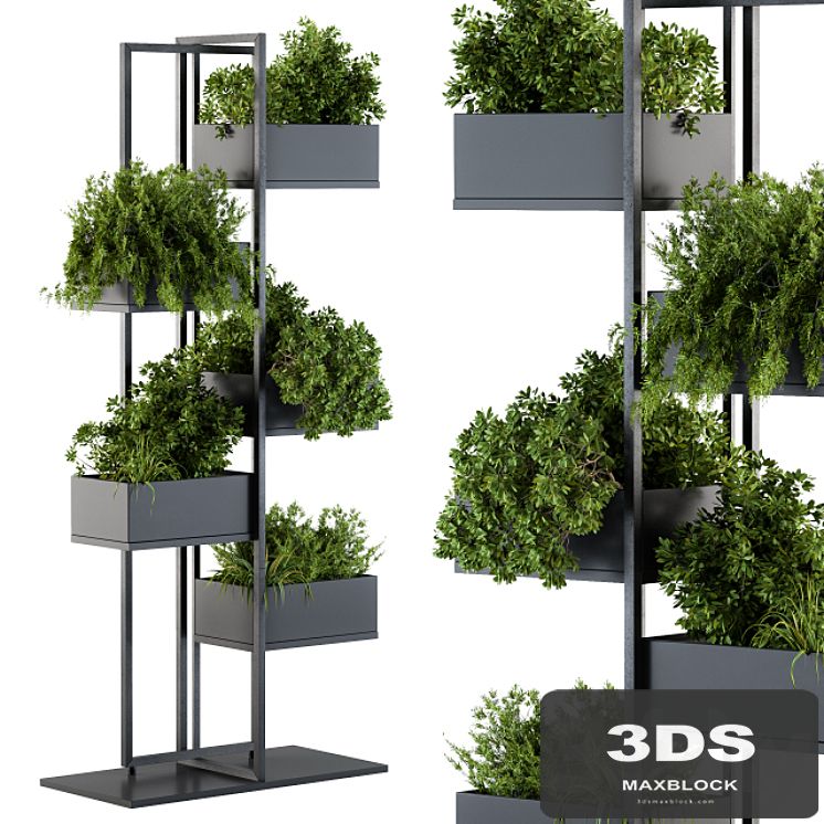 Black Box Plants on stand 03