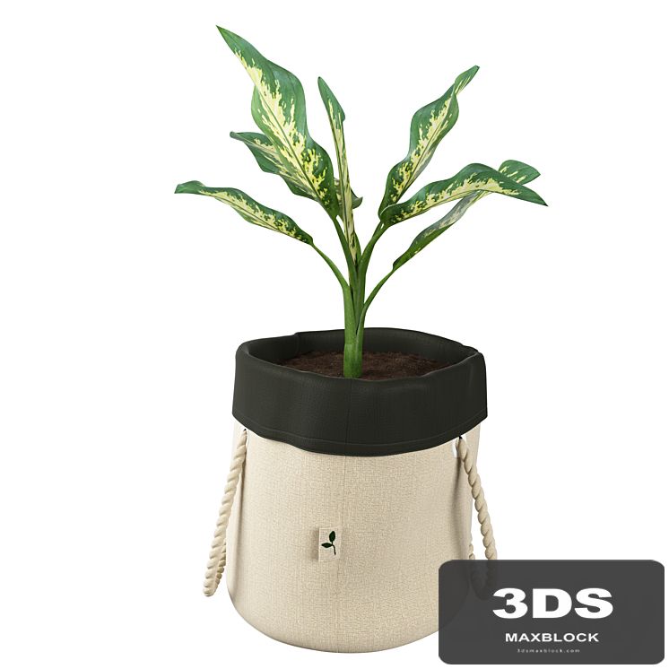 Ikea botanisk dieffenbachia