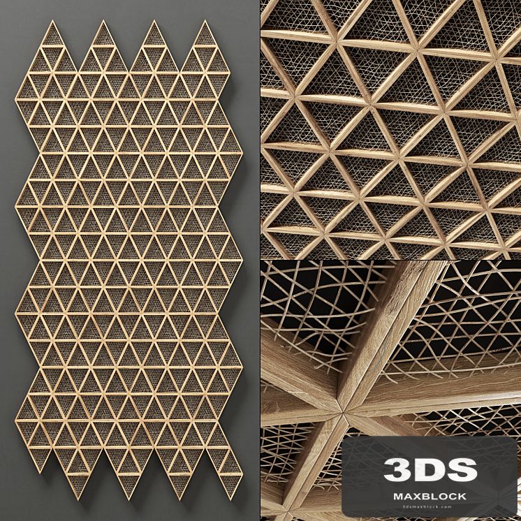 Ceiling tringle frame branch n1 / Ceiling of branches in a triangular frame