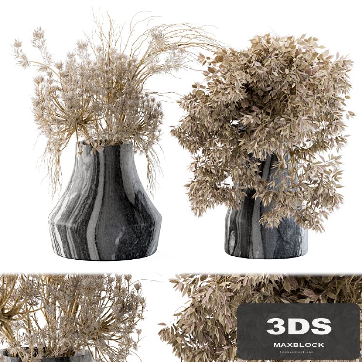 Dry plants 14
