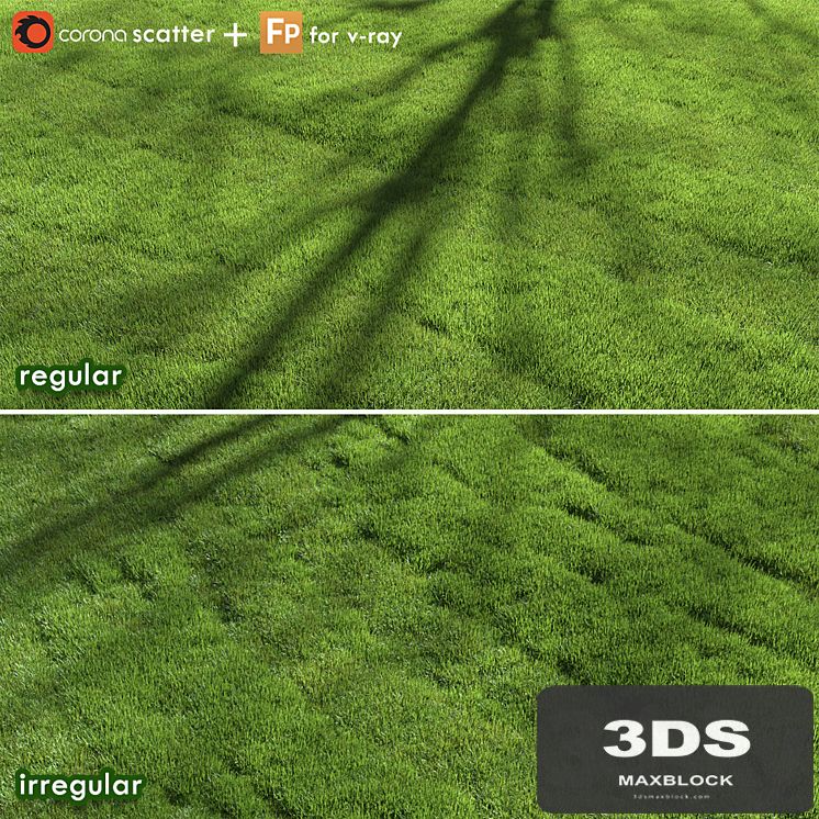 lawn grass