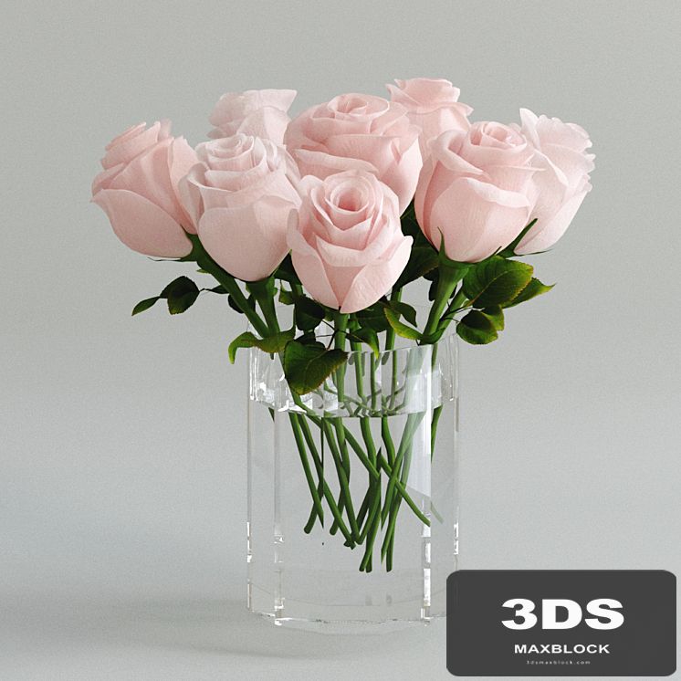 Light pink roses in a vase