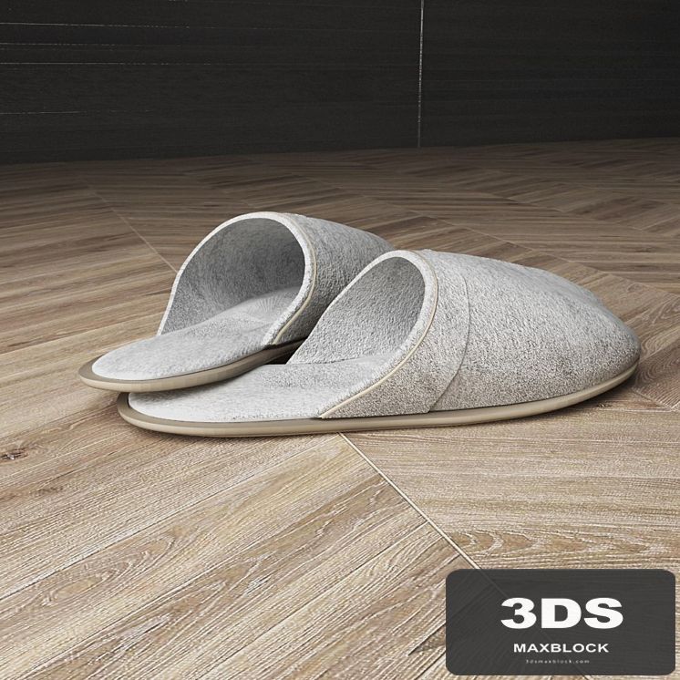 Slippers home
