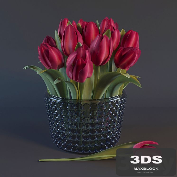 Red Tulips