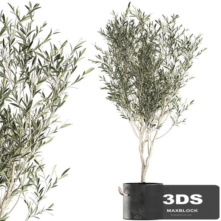 A beautiful little decorative olive tree in a black pot with handles. Set 647.
