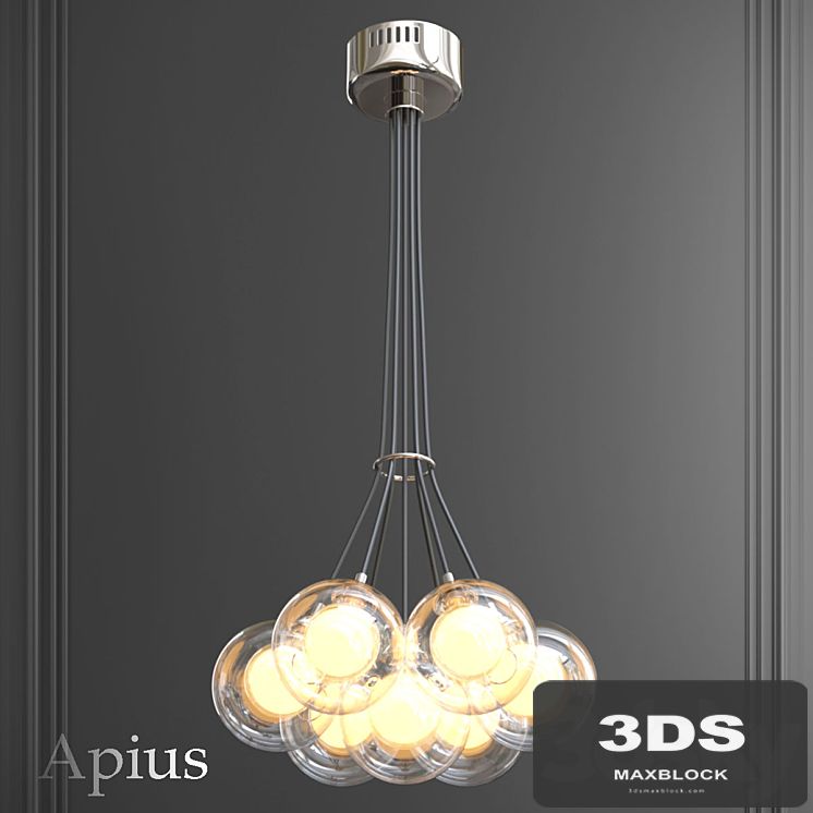 Apius