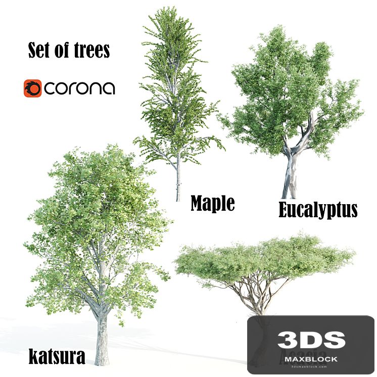 set of tree05