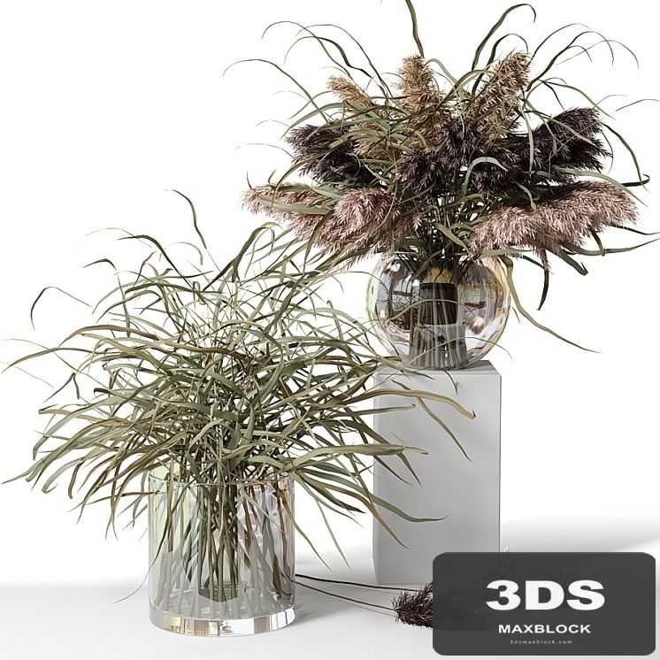 Dry herb bouquets in glass vases