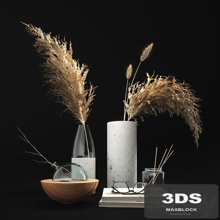 Decorative set with dry plants 01
