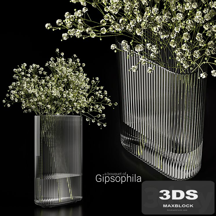 A bouquet of gypsophila