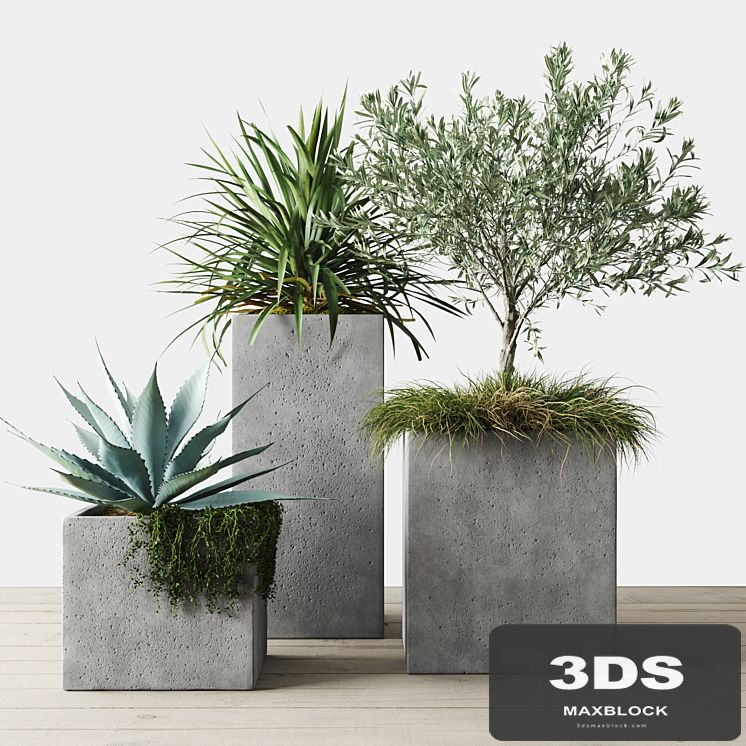 Outdoor Plants Set in Pottery Barn planters