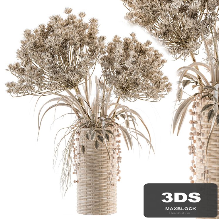 Dry plants 22 - dried Bouquet in Wicker Basket Vase