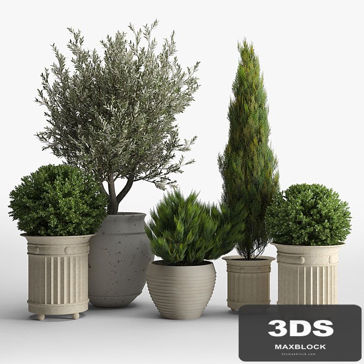 prescott planter set