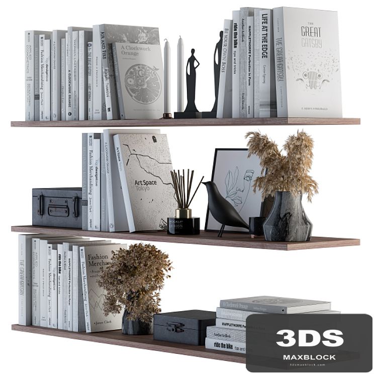 Decorative Set on Shelves White book and Dried Plants
