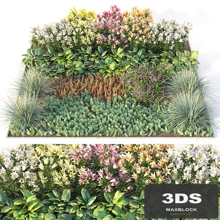 Flower garden 3