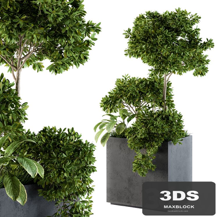 Outdoor Plants Concrete Box - Set 58