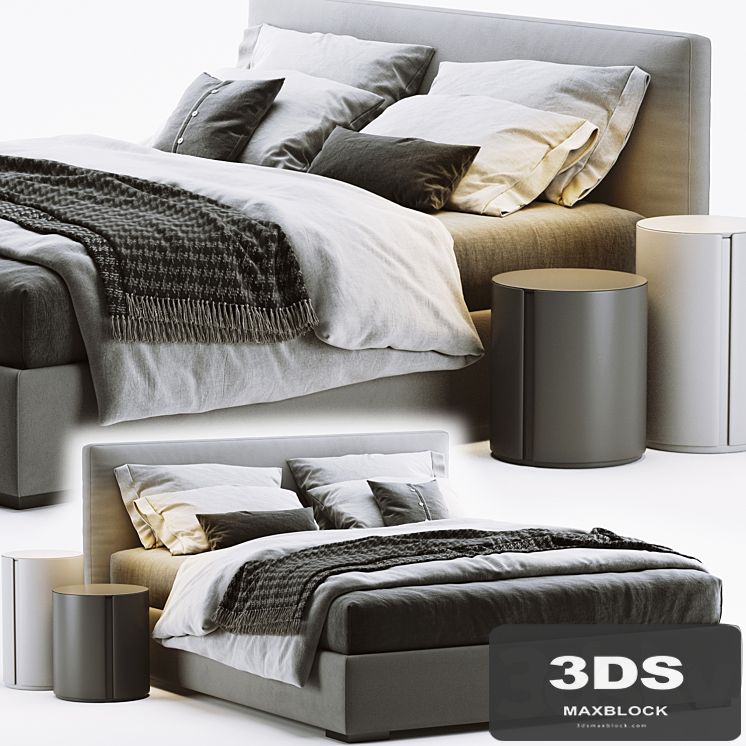 Meridiani Stone Bed