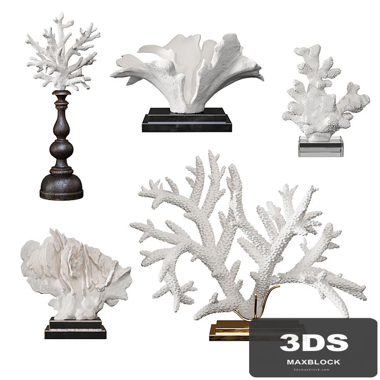 Coral Set 4