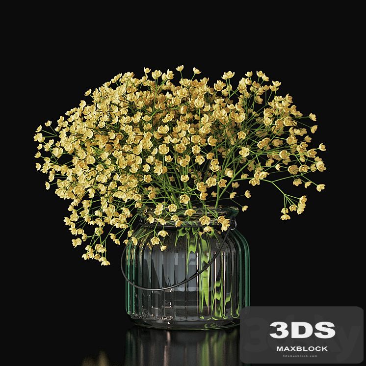 Gypsophila 03