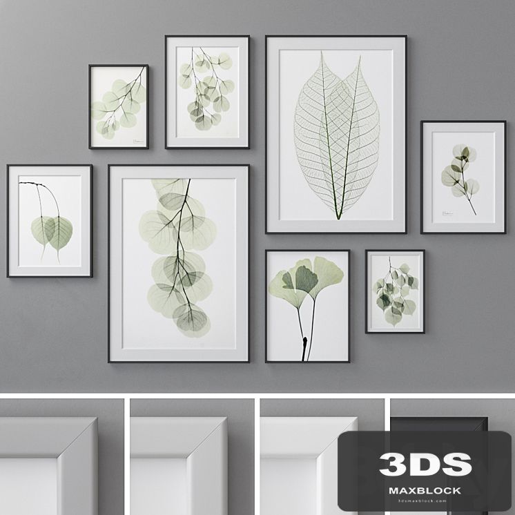 Photo Frames Set 462