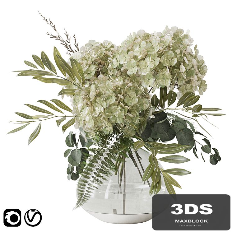 Green hydrangea