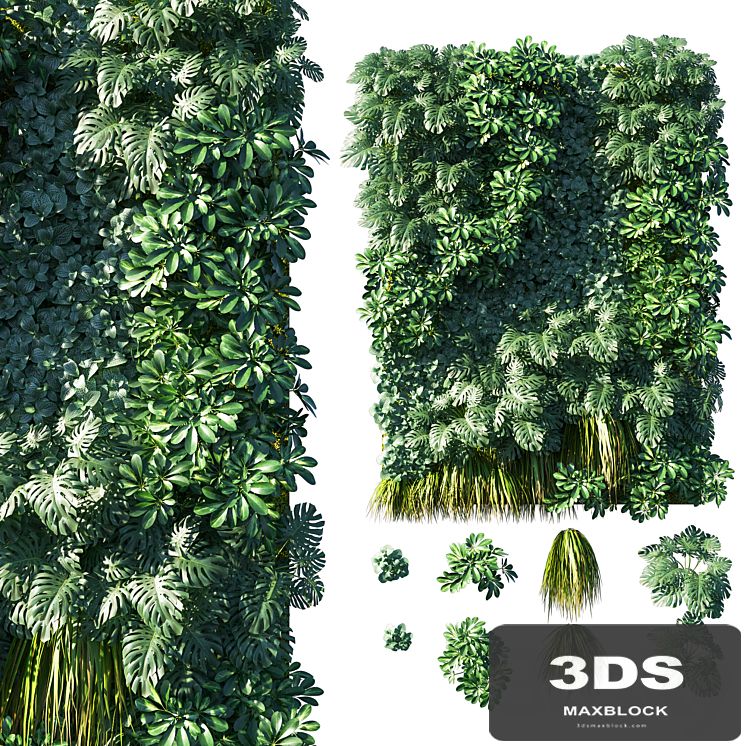 Vertical garden_ Green wall 02