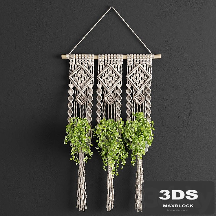 Macrame Planter