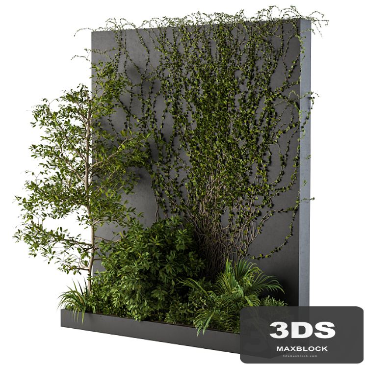 Outdoor Green Wall with Garden ivy