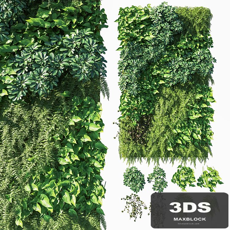 Vertical garden_ Green wall 03
