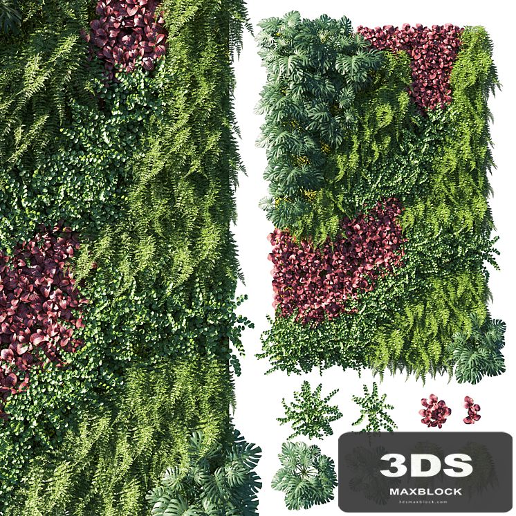 Vertical garden_ Green wall 04