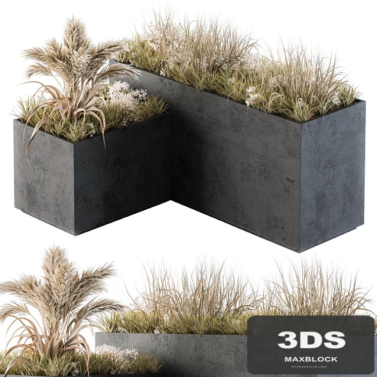Outdoor Concrete Plant Box with Cereals and Dried Plants