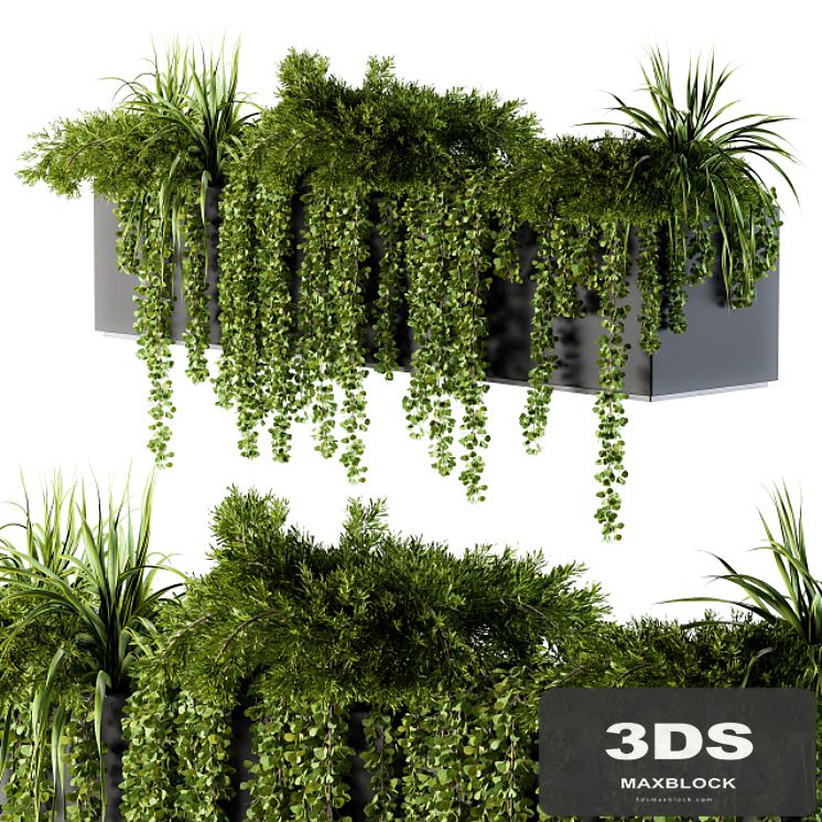 ivy plants in box - Outdoor Set 62