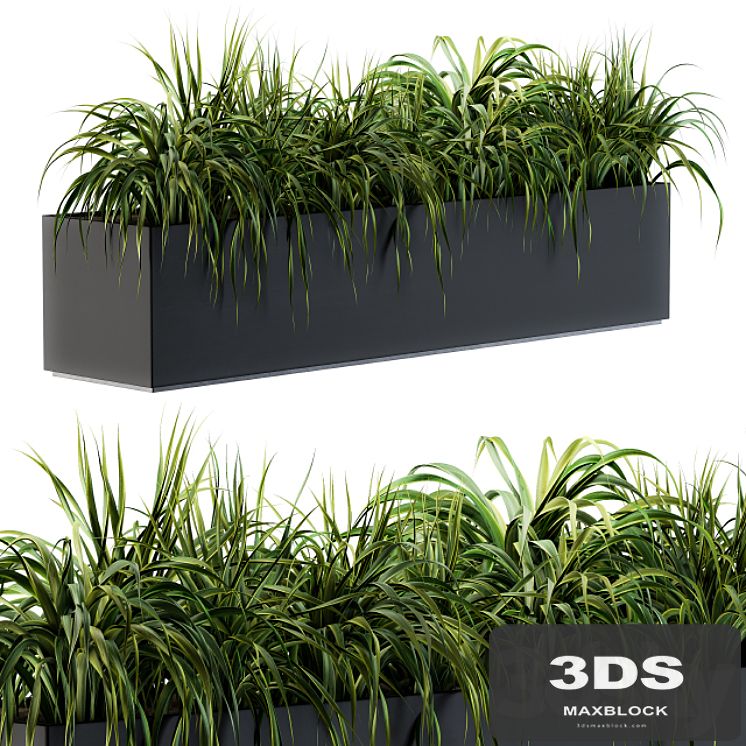 Ranch Grass plants in box - Outdoor Set 63