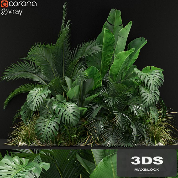 Plants collection 357