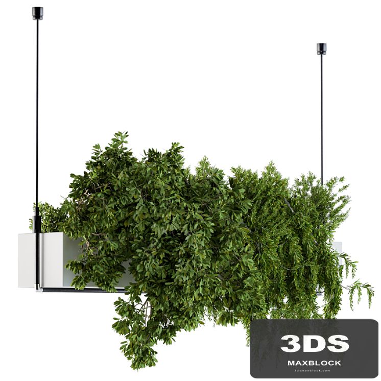 Hanging box plant - Set 70