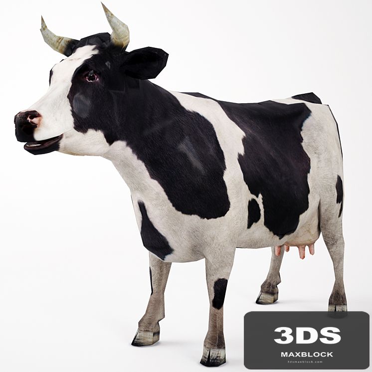 Cow