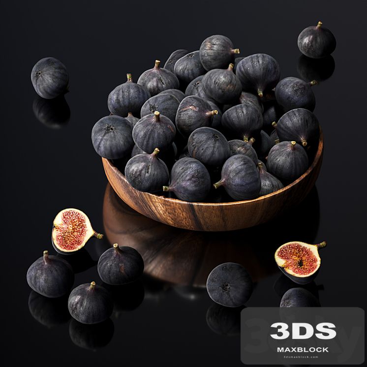 Fig