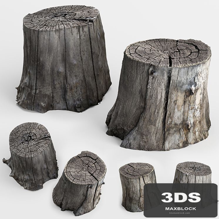 photoscan of two stumps
