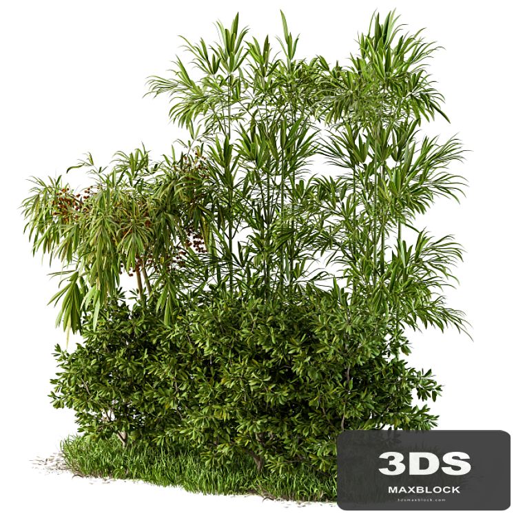Garden set tropical and bush