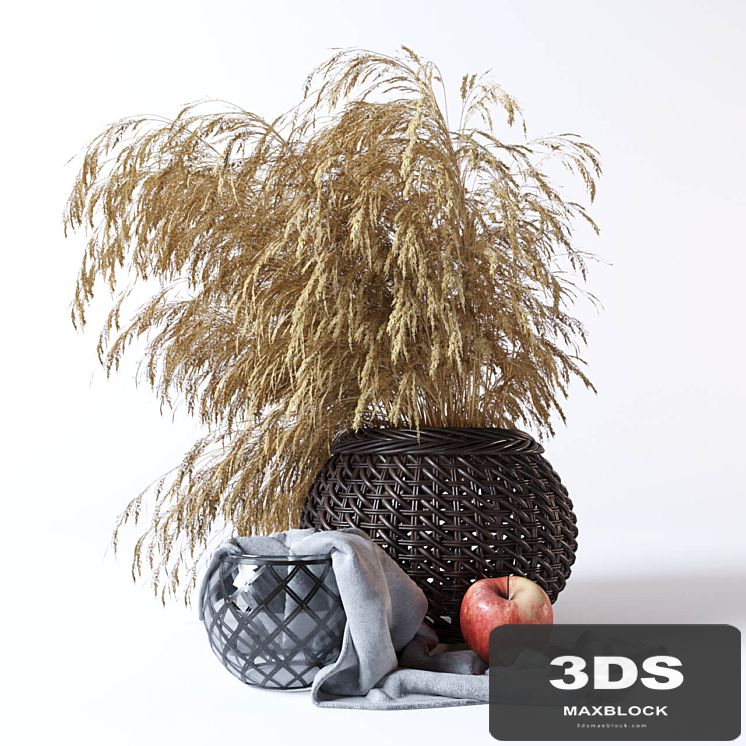 Decorative set with dried flowers