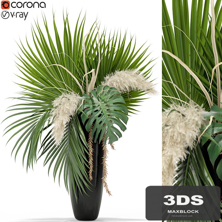 Plants collection 368