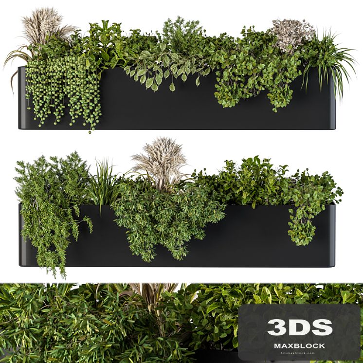Plant Box on Wall 04